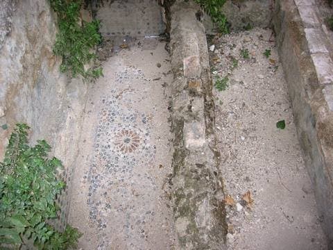 Photographies de l'érudit Sīdī Aḥmad Skiredj et des figures de la voie - Sīdī M'ḥammad al-Naṣr al-ʿAlawī